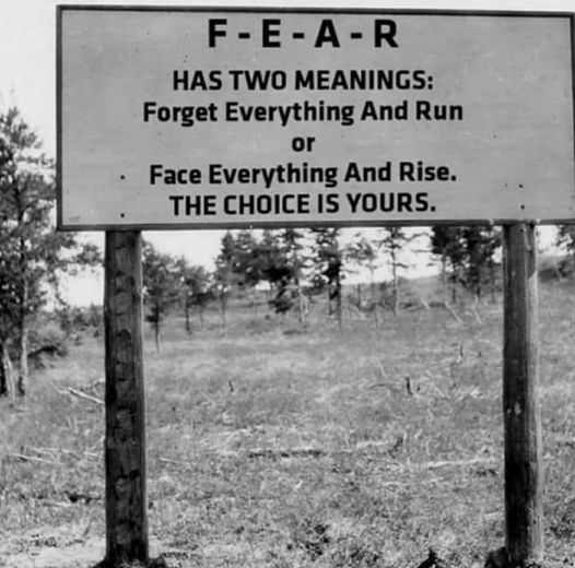 Fear