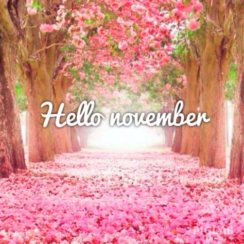 211260-Pretty-Hello-November-Quote
