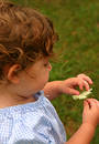 child-in-the-garden.jpg