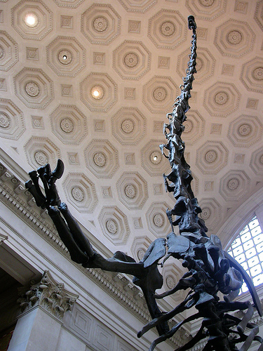 soaring-sauropod-500.jpg