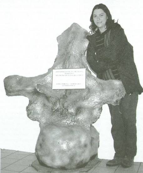 argentinosaurus-vert.jpg