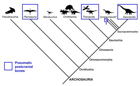 Archosaur tree 480 What's going on here? Why are ornithischians so lame?