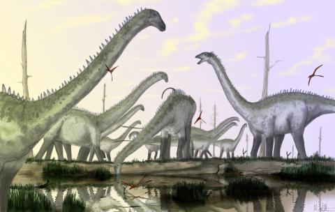 MarkWitton-Diplodocus-scene-480px Diplodocus herd -- mostly with necks in habitual raised posture, with one individual drinking. By Mark Witton.