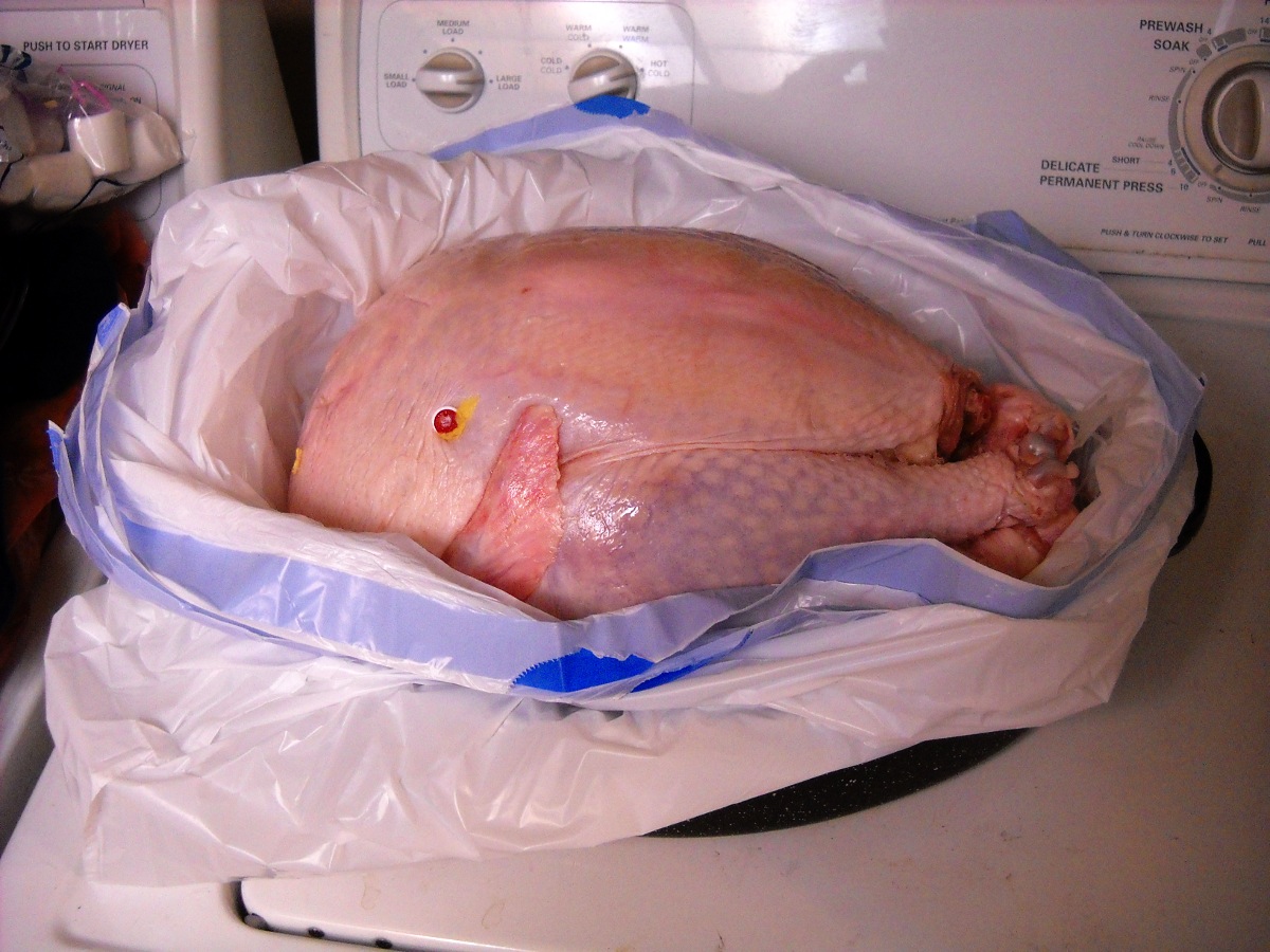 grilled turkey 02