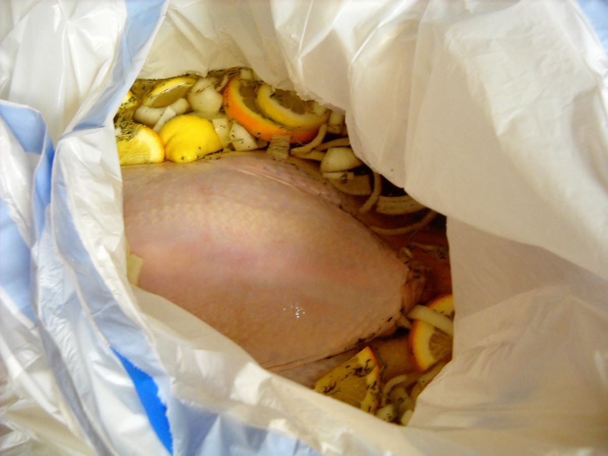 grilled turkey 03
