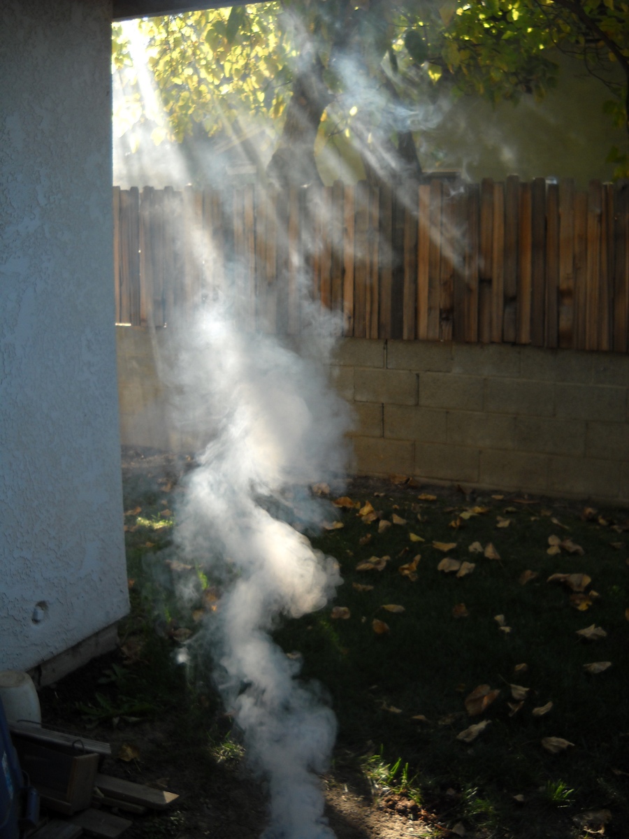grilled turkey 11