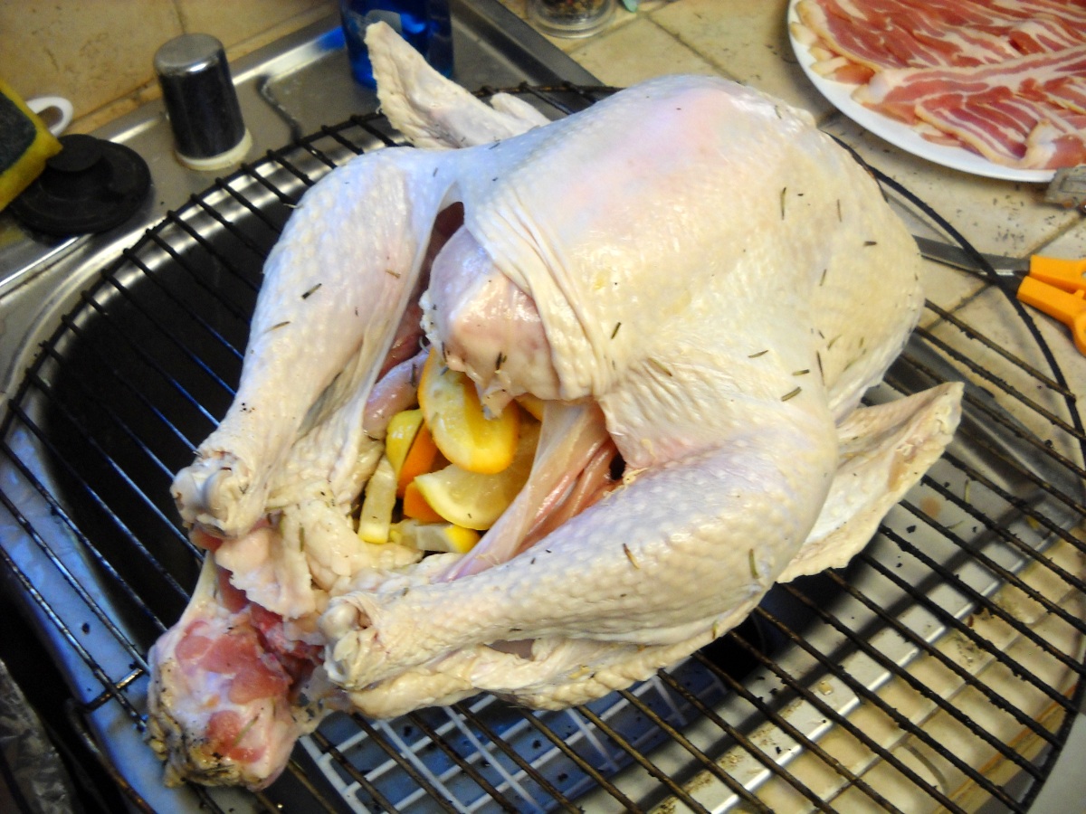 grilled turkey 13