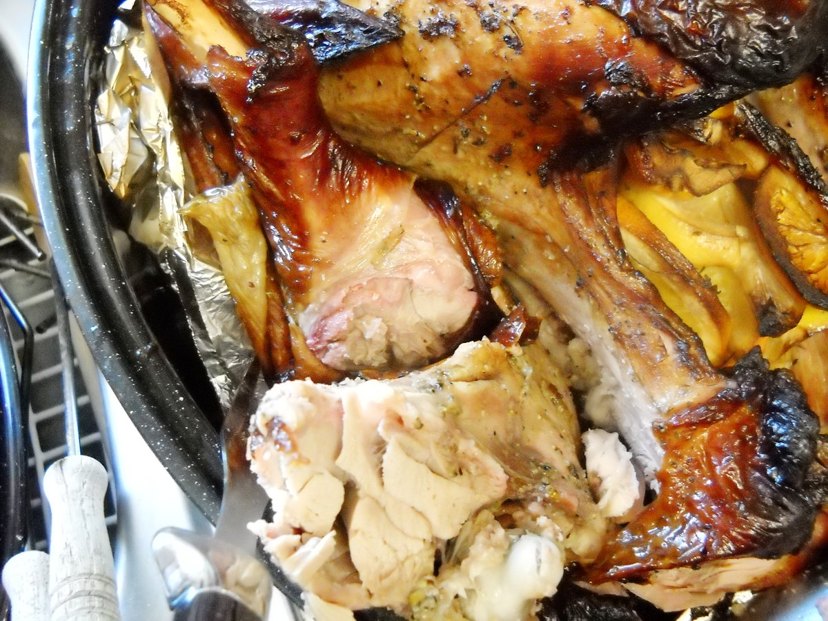 grilled turkey 18