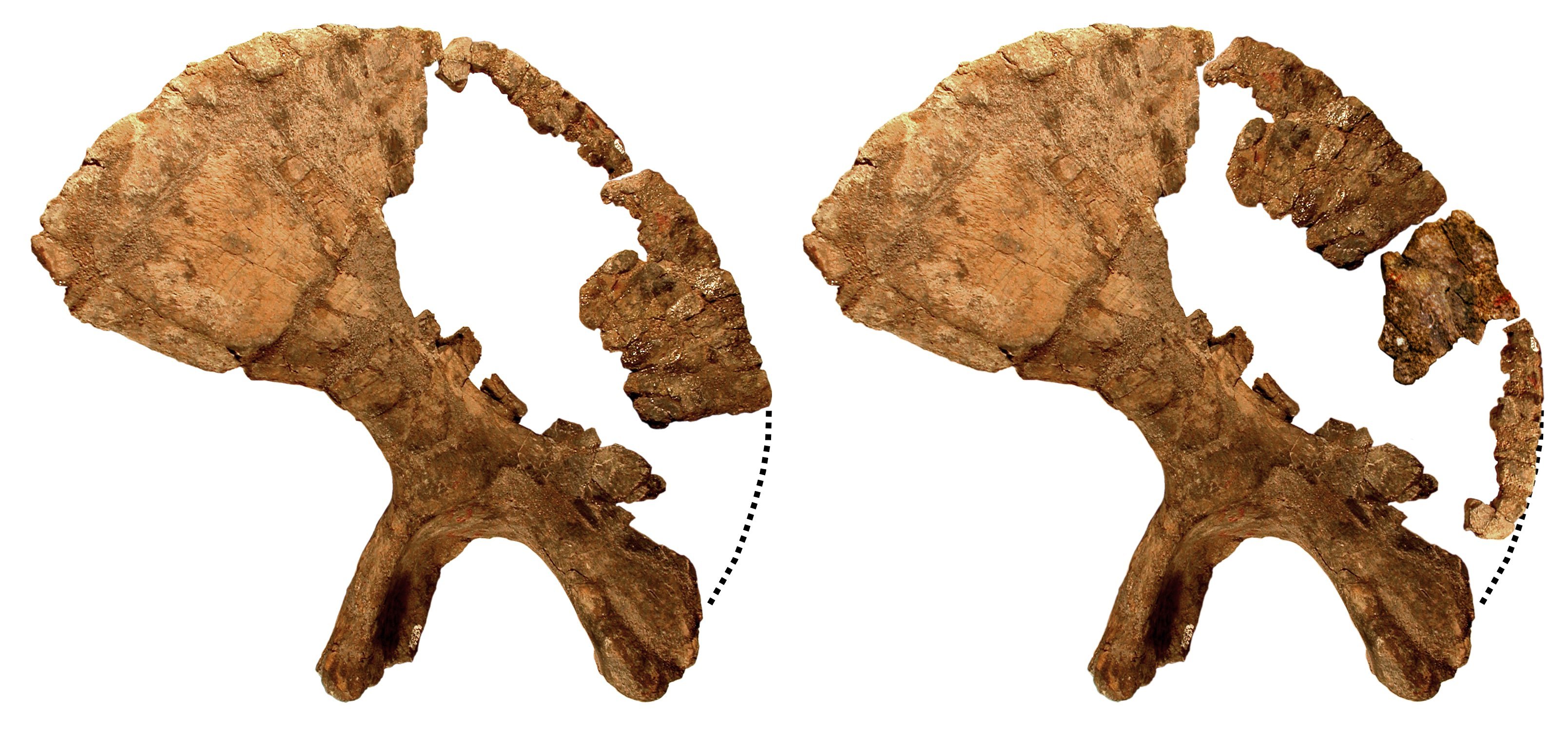 ilium-reconstructions-side-by-side