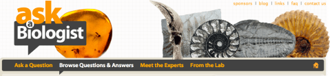 ask-a-biologist-screenshot