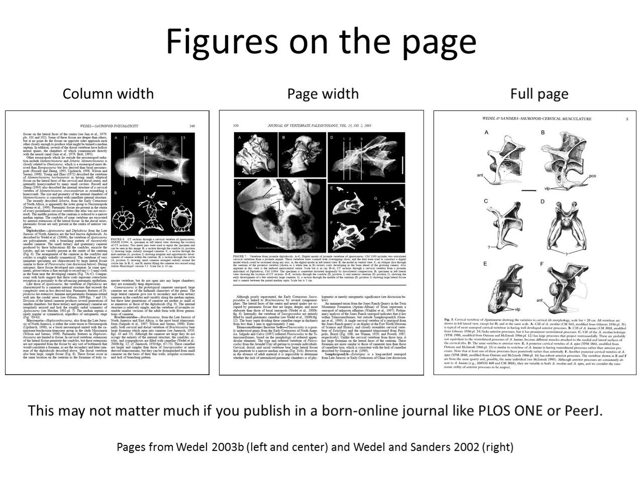 Illustration talk slide 46