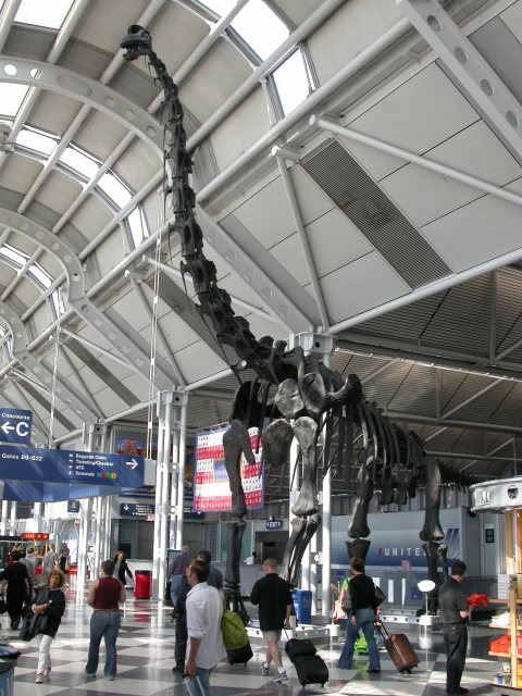 dscn1156