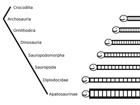 cladogram