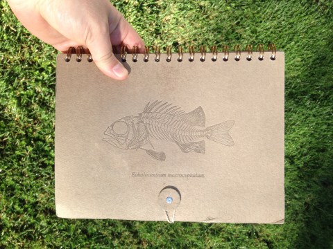 best-notebook-ever