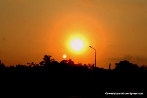 IMG_4651