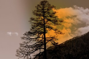 IMG_5496