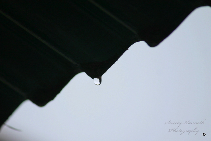IMG_5710-001