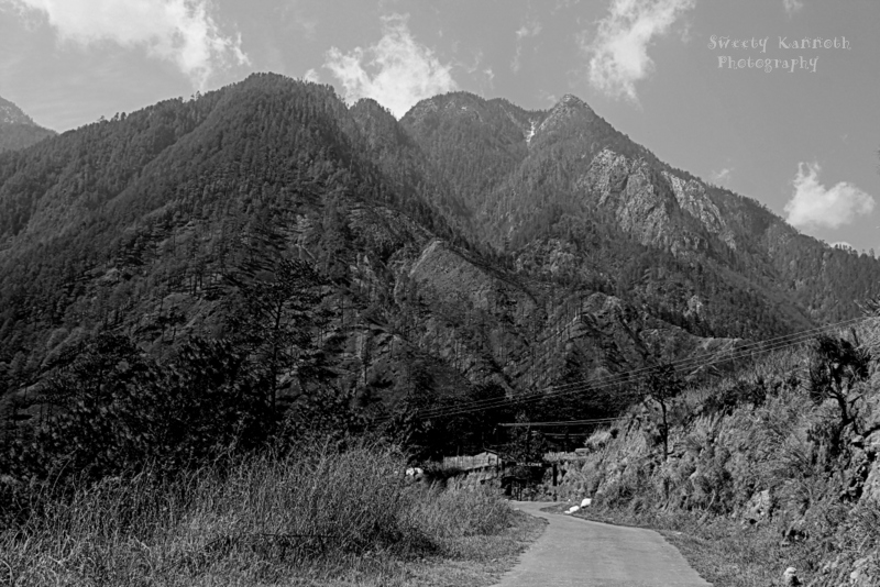 IMG_5020
