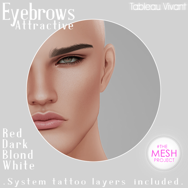 ~Tableau Vivant~ Eyebrows_AD_Attractive