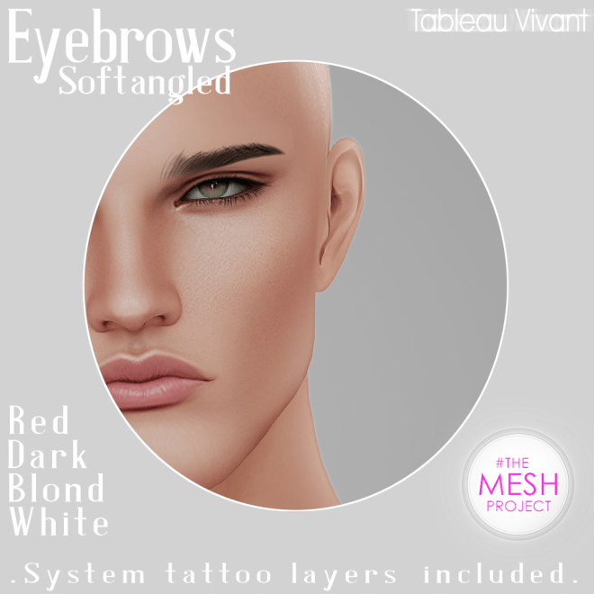 ~Tableau Vivant~ Eyebrows_AD_Softangled