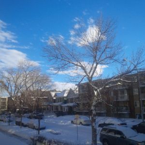 A summer sky on a wintery day, Calgary AB January 2015