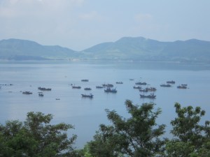 IMG_0250