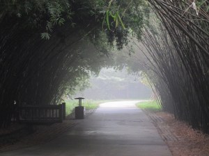 IMG_0806