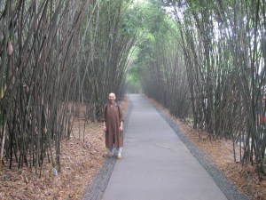 IMG_0876