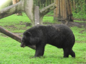 IMG_1009