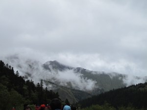 IMG_1187