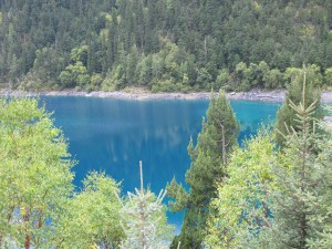 IMG_1320