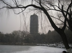 IMG_4758