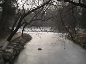 IMG_4765