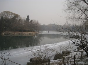 IMG_4767