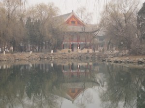 IMG_4768