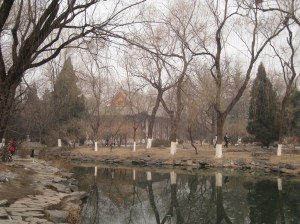 IMG_4772
