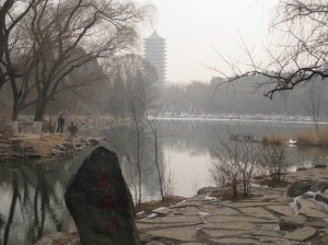 IMG_4775