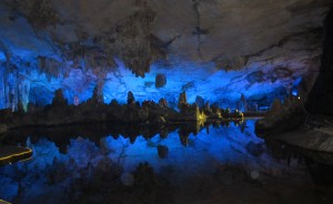 IMG_6711