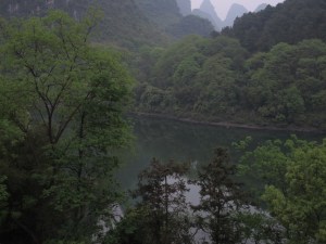 IMG_6817