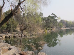 IMG_7016