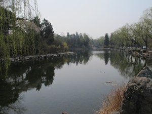 IMG_7020