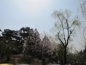 IMG_7027