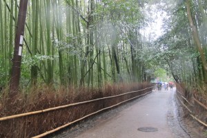 IMG_3584