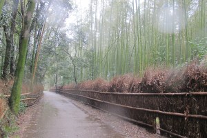 IMG_3590