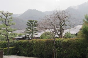 IMG_3604