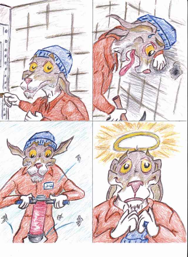OWLCATRAZ 25
