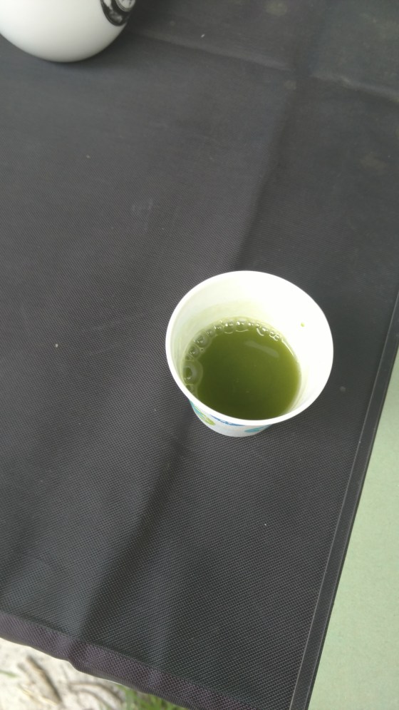 HarakiGordonGreenTea