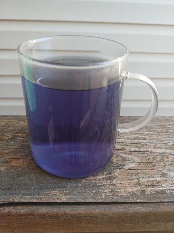 AuroraBlueHerbalTeaReady