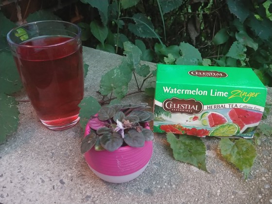 CelestialSeasoningsWatermelonLimeIcedTea