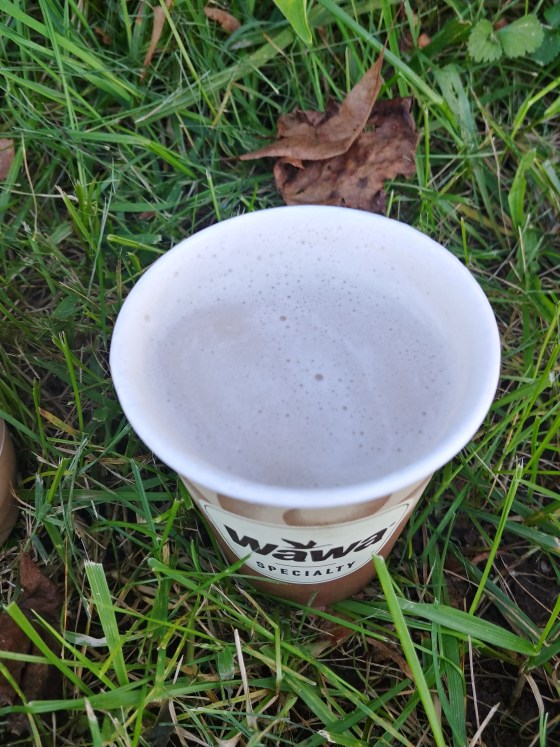 WawaHotPumpkinSpiceChaiTea